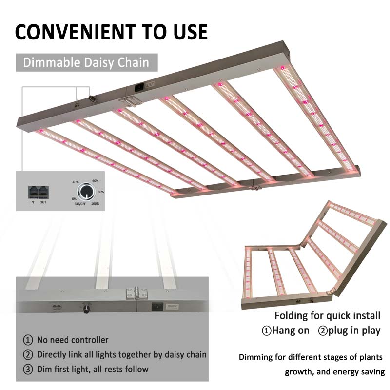 STOCK in GERMANY, Ready to Shi – Grow Tent 4X4 Bewertung und Preis